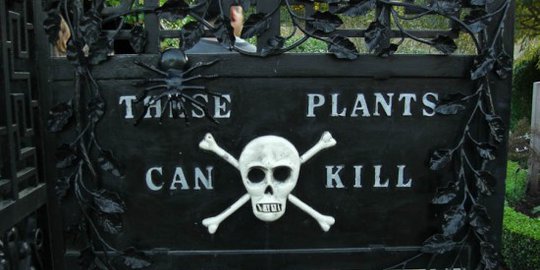 dipenuhi tanaman beracun