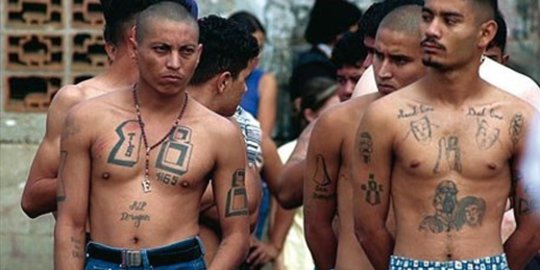 sula honduras rev1