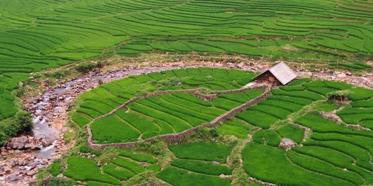 bangun lahan pertanian baru 1 juta hektare vs prabowo 2 juta hektare rev1