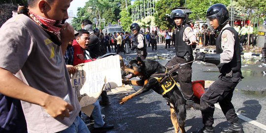 Simulasi pengamanan Pilpres, anjing polisi dikerahkan