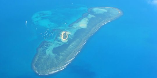 lesbian kingdom of the coral sea islands