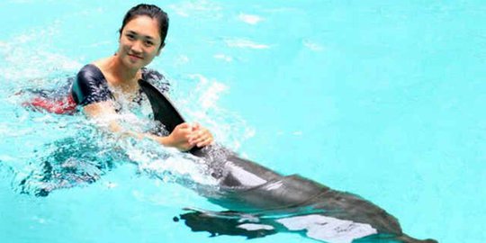 Mak comblang: Lumba-lumba foreplay lebih lama dari kawinnya