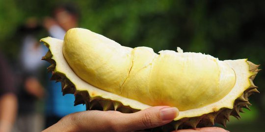 7 makanan berbau paling busuk di dunia
