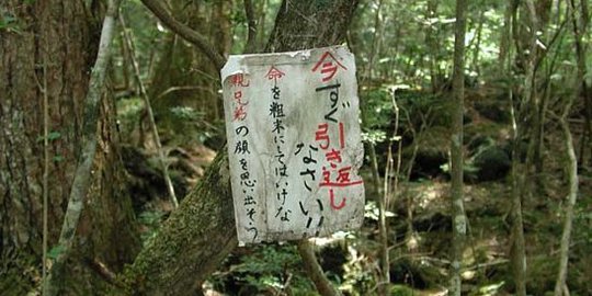 7 hutan angker yang banyak diburu pecinta misteri