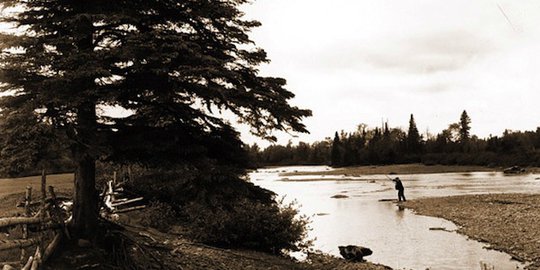 7 hutan angker yang banyak diburu pecinta misteri