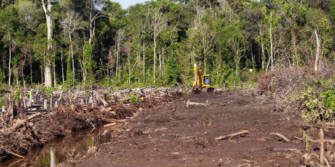 Prabowo ogah izinkan hutan  gundul  jadi kebun sawit 