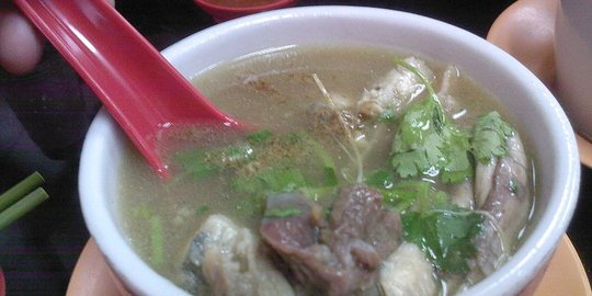 penyu hijau rev1
