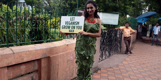 Gaya wanita PETA bergaun selada di India