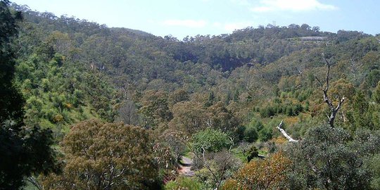 australia