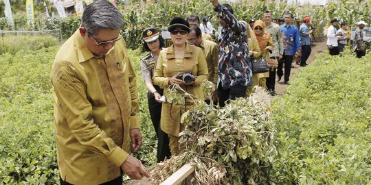 Sumatera Barat butuh Rp 1 triliun antisipasi kekurangan pangan