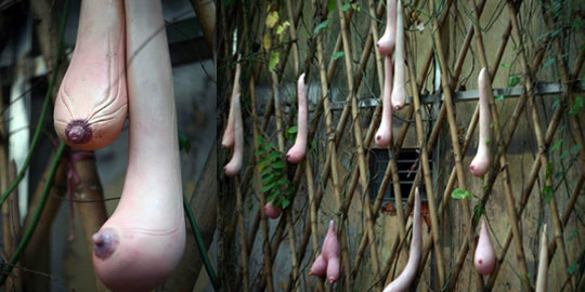 6 tanaman yang mirip alat vital manusia