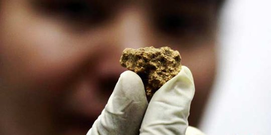 Keju tertua berusia 3.600 tahun ada di China