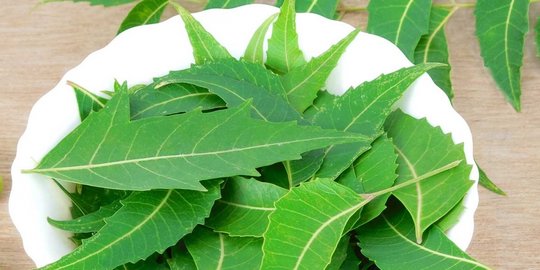 10 bahan alam yang jadi rahasia kecantikan wanita india