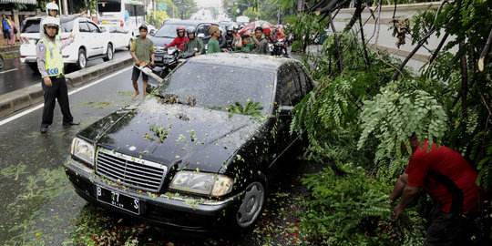 Sedan mewah tertimpa pohon tumbang di Menteng