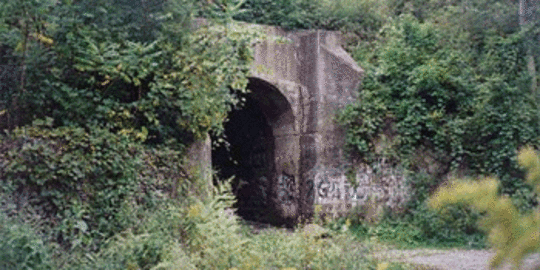 tunnel amerika serikat rev1.gif