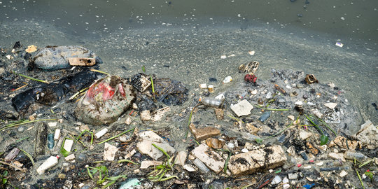 Walhi Pekanbaru: Indonesia butuh pengadilan khusus lingkungan