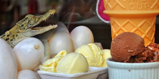 Es krim ini dibuat dari telur buaya!