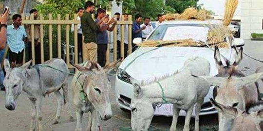 Mobil Jaguar pria India ditarik keledai sebab sering rusak