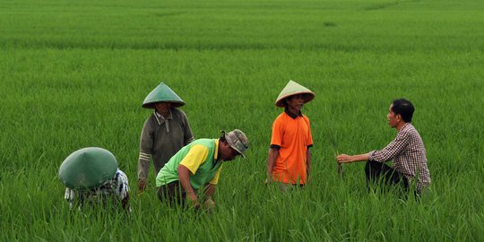 Aksi Jokowi ngobrol dengan petani di tengah sawah