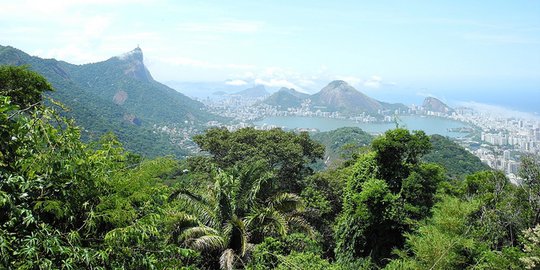 tijuca rev3