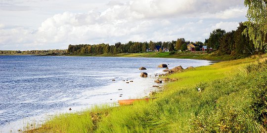 swedia rev1