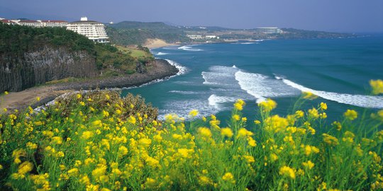 7 Objek Wisata Terbaik Yang Ada Di Pulau Jeju | Merdeka.com