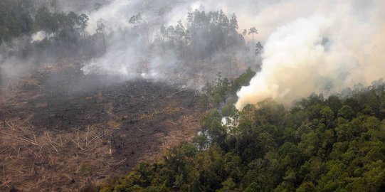 Satelit NOAA deteksi 60 titik panas muncul di Riau