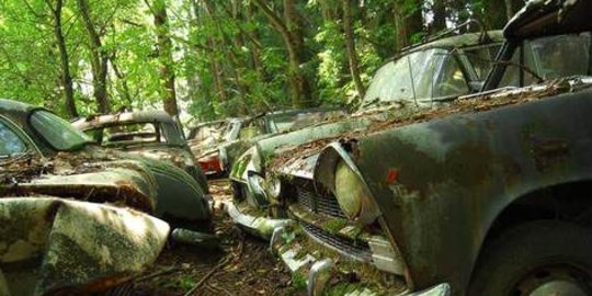 di kaufdorf swiss rev1