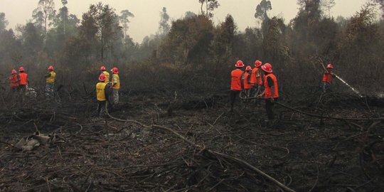 Kejar pembakar hutan, Polda Riau terjunkan 30 Brimob