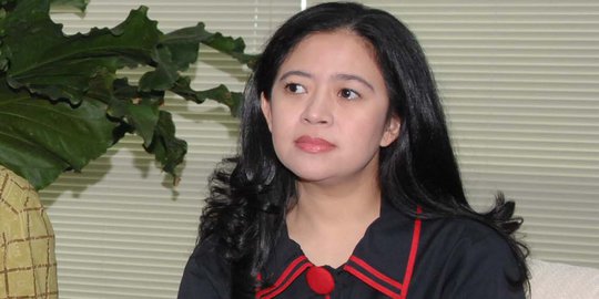 Puan: Kami berharap Ruhut bawa gerbongnya dukung Jokowi-JK