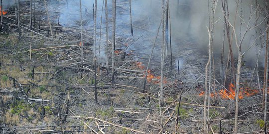 Marak pembakaran hutan, posko siaga kabut asap kembali aktif