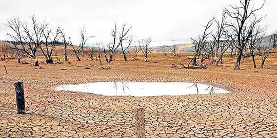 Fenomena El Nino panaskan bumi hingga puncaknya