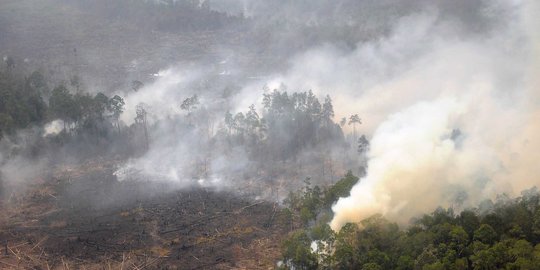 Asap kebakaran Riau tidak sampai ke negara tetangga