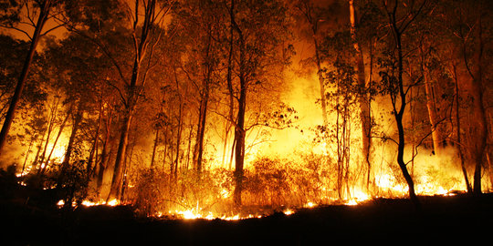 Kebakaran lahan di Riau belum padam, tersangka jadi 54 orang