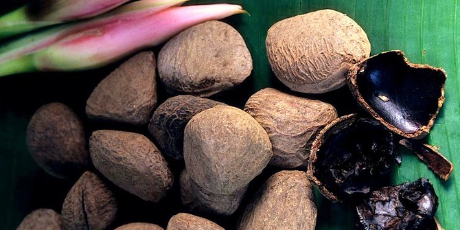 Cerita istilah mabuk kepayang buah kluwek Kabupaten 