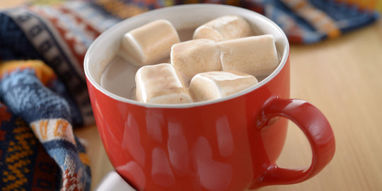 Secangkir cokelat panas, cara manis cegah Alzheimer