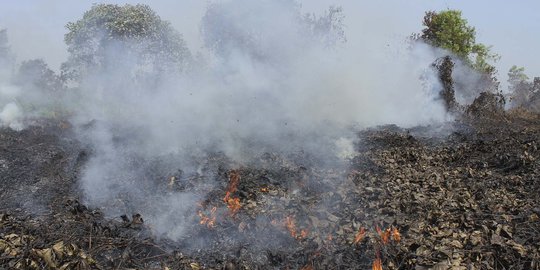 8.209 Bom air padamkan titik kebakaran hutan Riau