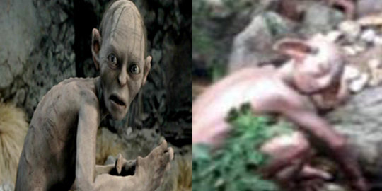 Makhluk mirip Gollum di Lord Of The Ring menampakkan diri