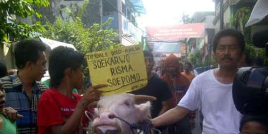 tumbal kerbau bule rev1