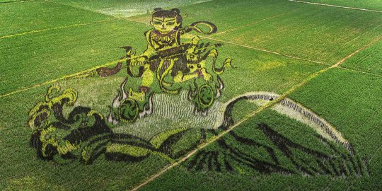 Uniknya mural tanaman padi di China
