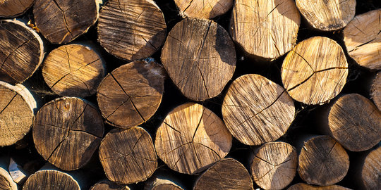 Peredaran kayu ilegal di Mukomuko akan dihentikan