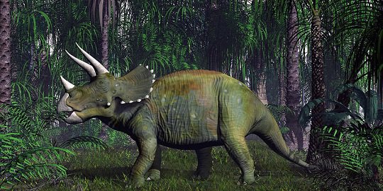 Dinosaurus ini butuhkan satu juta tahun untuk dapatkan tanduk