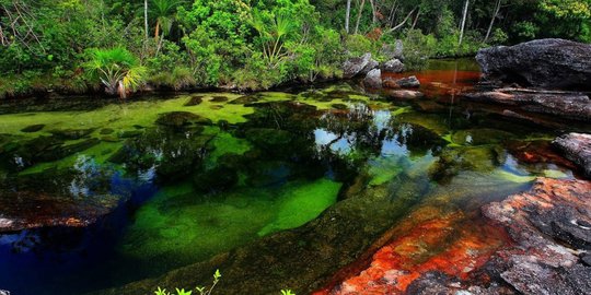 cristales kolombia rev1