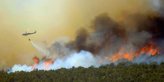 Pemkab Sintang imbau perkebunan waspadai kebakaran lahan