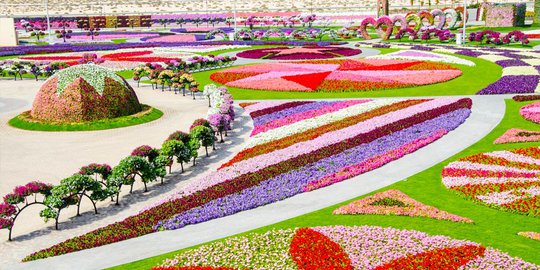 Taman Bunga Terbesar Di Dunia Ini Terletak Di Dubai Merdeka Com