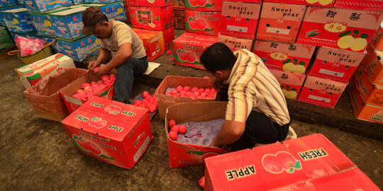 Terikat pasar bebas, Indonesia tak bisa batasi impor ...