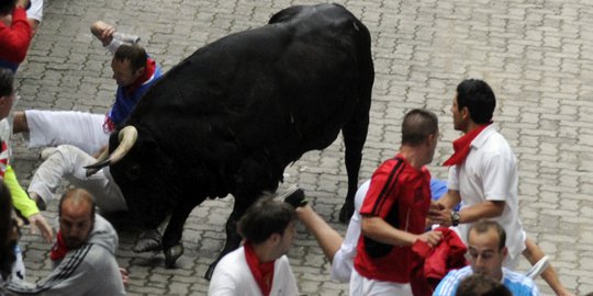 Festival San Fermin, seorang peserta tertusuk tanduk banteng