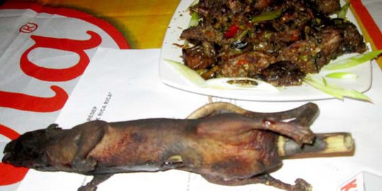 Uniknya Festival Kuliner Manado sediakan menu daging ekstrem