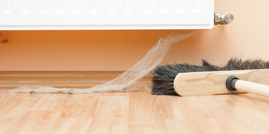 5 pekerjaan rumah tangga ini bantu turunkan berat badan!