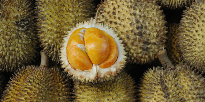 Jelang lebaran, berbagai jenis buah durian banjiri 